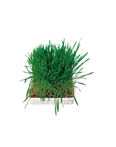 TRIXIE Kleintiergras 100 g