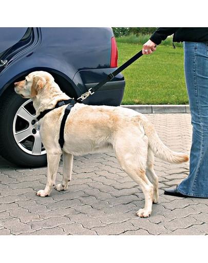 TRIXIE Autosicherheitsgurt für Hund L
