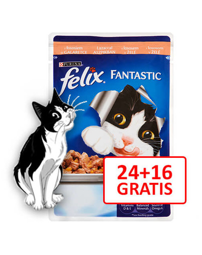 FELIX Fantastic Mit Lachs 100g 24 + 16 Free