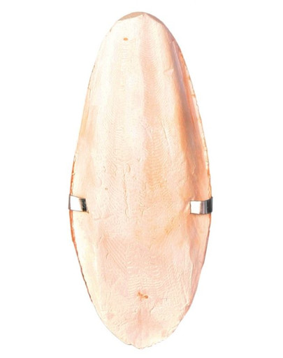 TRIXIE Sepia Groß mit Griff 16cm