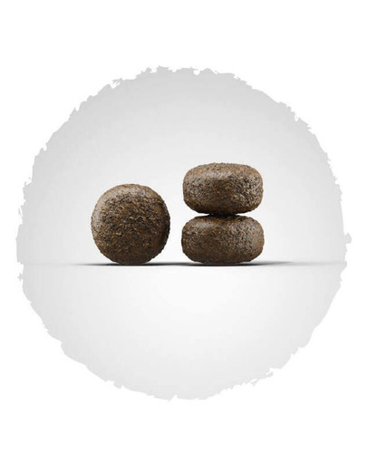 JOSERA Light & Vital 4kg