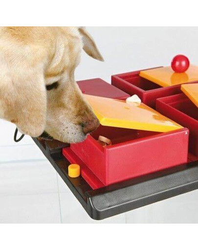 TRIXIE Poker Box 1 Strategiespiel 31 x 31 cm