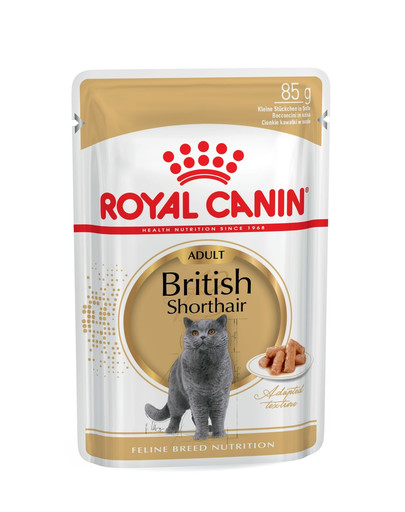 ROYAL CANIN British Shorthair Adult Katzenfutter nass für Britisch Kurzhaar 85 g