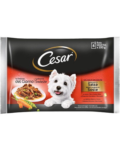 CESAR Portionsbeutel Multipack mit mit Huhn & Karotten und mit mit Rind & Gemüse 13 x 4 x 100g