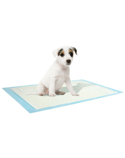 ZOLUX absorbierender Teppich für Hunde 60x40cm  - 10