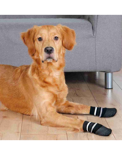 TRIXIE Hundesocken Anti-Rutsch-Gummierung S–M, 2 St.