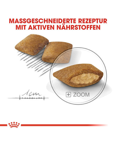 ROYAL CANIN EXIGENT MINI Trockenfutter für wählerische kleine Hunde 3 kg