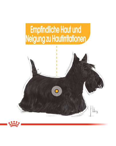 ROYAL CANIN Mini Dermacomfort 10 kg