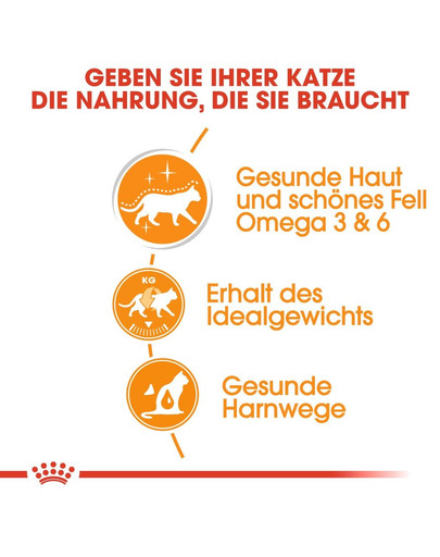 ROYAL CANIN Intense Beauty Katzenfutter nass in Gelee für schönes Fell 85 g