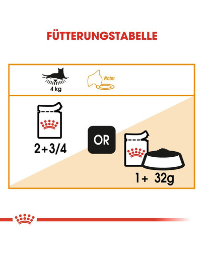 ROYAL CANIN Intense Beauty Katzenfutter nass in Gelee für schönes Fell 85 g