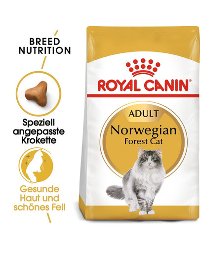 ROYAL CANIN Norwegian Forest Cat Adult Trockenfutter für Norwegische Waldkatzen 400 g