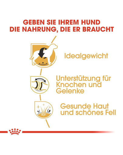 ROYAL CANIN Labrador Retriever adult 12 kg + 2 kg