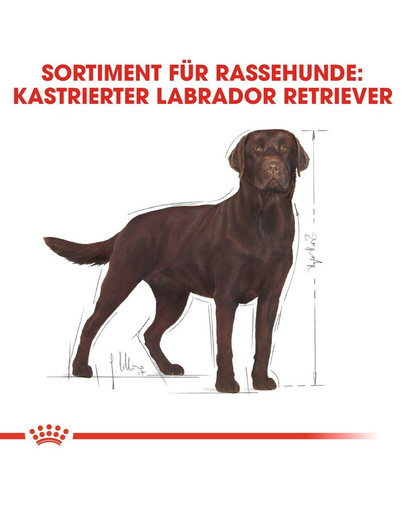 ROYAL CANIN Labrador Retriever Adult Sterilised Trockenfutter für kastrierte Hunde 3 kg