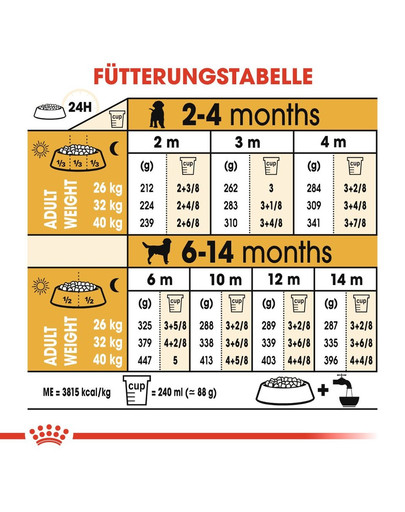 ROYAL CANIN Labrador retriever junior 12+2 kg gratis
