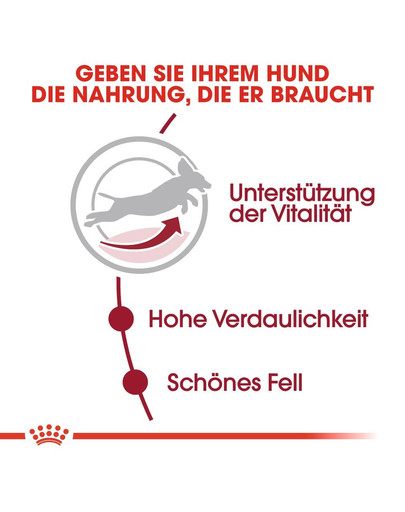 ROYAL CANIN MEDIUM Adult 7+ Trockenfutter für ältere mittelgroße Hunde 4 kg