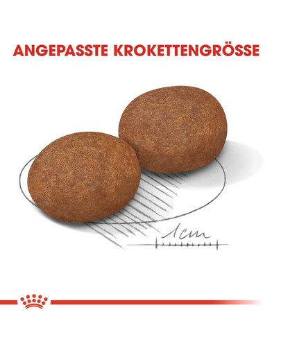 ROYAL CANIN MEDIUM Adult 7+ Trockenfutter für ältere mittelgroße Hunde 4 kg