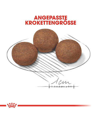 ROYAL CANIN MEDIUM Puppy Welpenfutter trocken für mittelgroße Hunde 10 kg