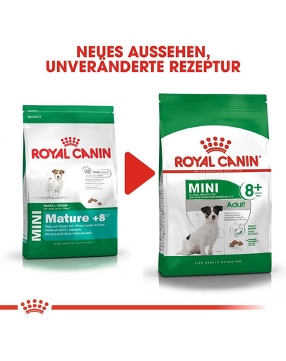 ROYAL CANIN MINI Adult 8+ Trockenfutter für ältere kleine Hunde 8 kg