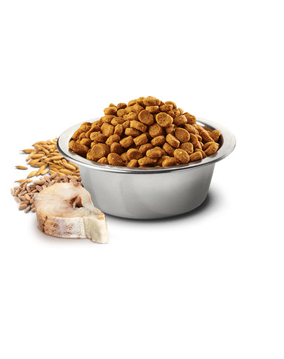 FARMINA N&D Low Ancestral Grain Codfish & Orange Adult Cat 5 kg