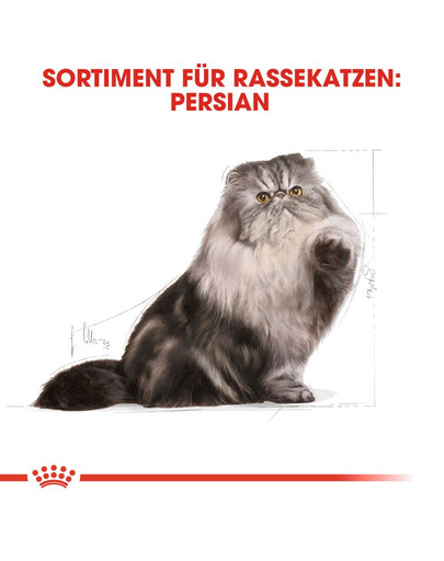 ROYAL CANIN Persian Adult Trockenfutter für Perser-Katzen 4 kg