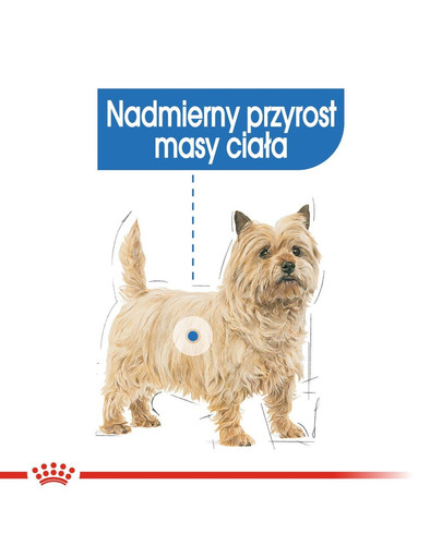ROYAL CANIN LIGHT WEIGHT CARE Nassfutter für Hunde mit Neigung zu Übergewicht 85 g