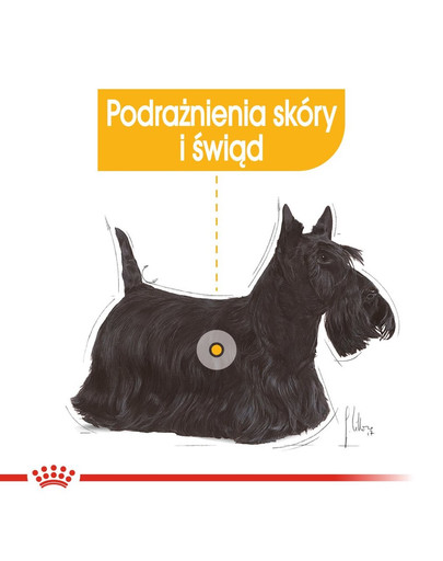 ROYAL CANIN DERMACOMFORT Nassfutter für Hunde mit empfindlicher Haut 85 g