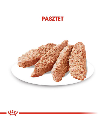 ROYAL CANIN DERMACOMFORT Nassfutter für Hunde mit empfindlicher Haut 85 g