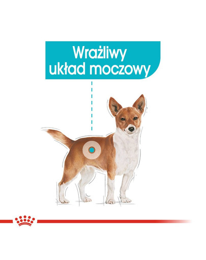 ROYAL CANIN Urinary Care Nassfutter für Hunde mit empfindlichen Harnwegen 85 g