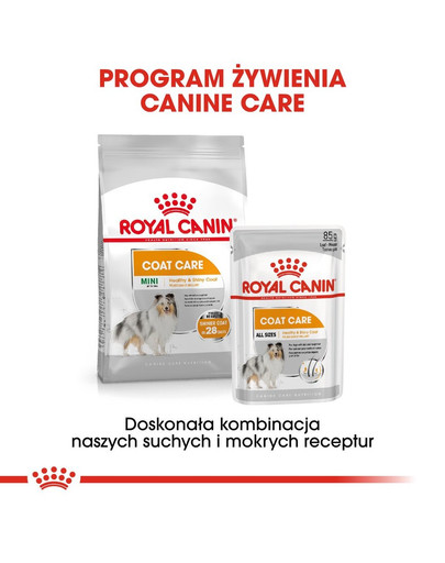 ROYAL CANIN COAT CARE Nassfutter für glänzendes Fell 85 g