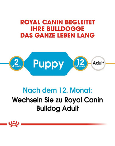 ROYAL CANIN Bulldog Puppy Welpenfutter trocken 3 kg