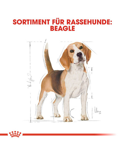 ROYAL CANIN Beagle Adult Hundefutter trocken 3 kg