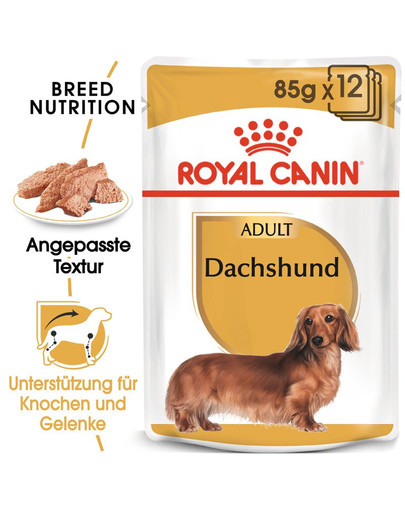 ROYAL CANIN Dachshund Adult Hundefutter nass für Dackel 85 g