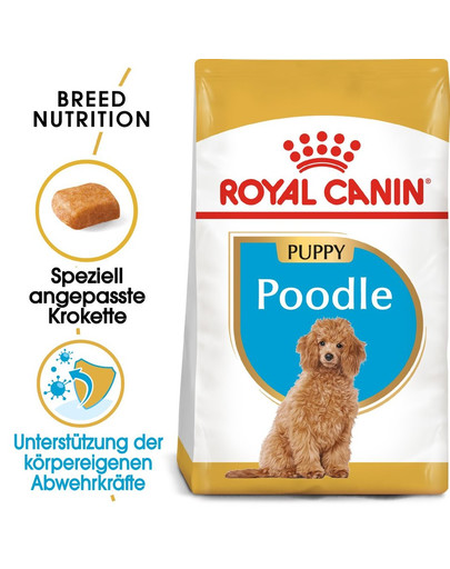 ROYAL CANIN Poodle Puppy Welpenfutter für Pudel 3 kg