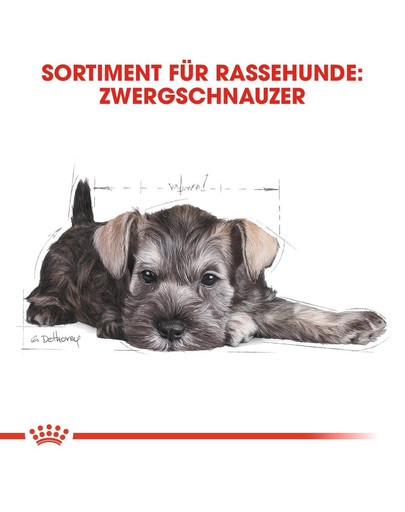 ROYAL CANIN Miniature Schnauzer Puppy Welpenfutter trocken für Zwergschnauzer 1,5 kg