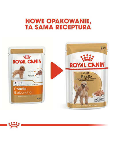 ROYAL CANIN Poodle Adult in Soße Hundefutter nass für Pudel 85 g