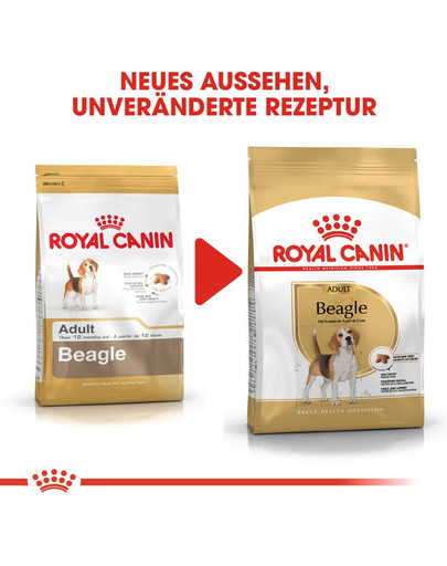 ROYAL CANIN Beagle Adult Hundefutter trocken 12 kg