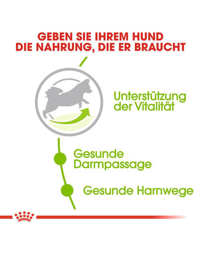 ROYAL CANIN X-SMALL Adult 8+ Trockenfutter für ältere sehr kleine Hunde 1.5 kg