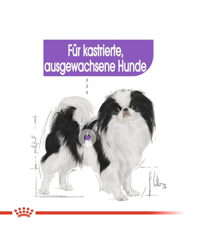 ROYAL CANIN STERILISED X-SMALL Trockenfutter für kastrierte sehr kleine Hunde 1,5 kg