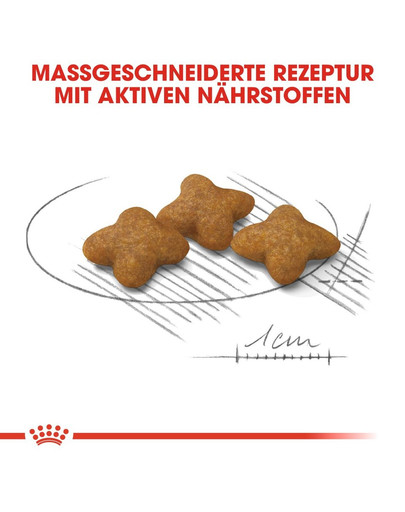 ROYAL CANIN STERILISED X-SMALL Trockenfutter für kastrierte sehr kleine Hunde 1,5 kg
