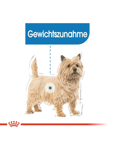 ROYAL CANIN LIGHT WEIGHT CARE MINI Trockenfutter für kleine Hunde mit Neigung zu Übergewicht 1 kg