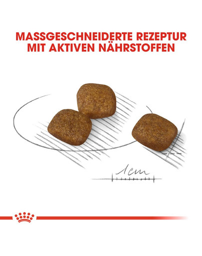 ROYAL CANIN COAT CARE MINI Trockenfutter für kleine Hunde für glänzendes Fell 3 kg