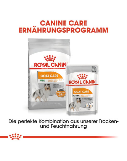 ROYAL CANIN COAT CARE MINI Trockenfutter für kleine Hunde für glänzendes Fell 3 kg