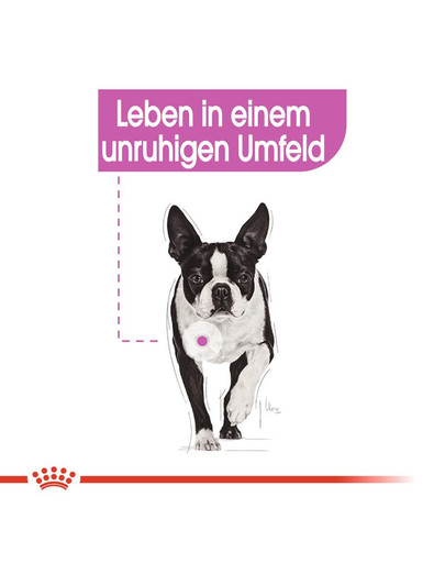 ROYAL CANIN RELAX CARE MINI Trockenfutter für kleine Hunde in unruhigem Umfeld 1 kg