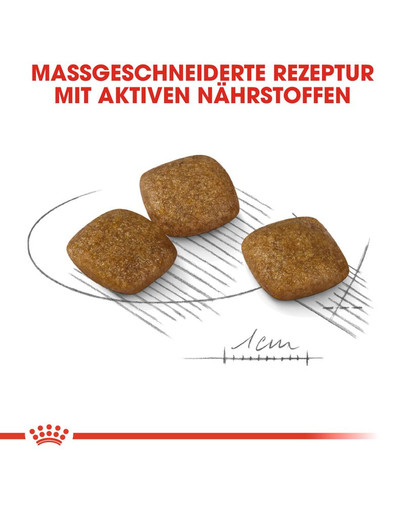 ROYAL CANIN RELAX CARE MINI Trockenfutter für kleine Hunde in unruhigem Umfeld 1 kg