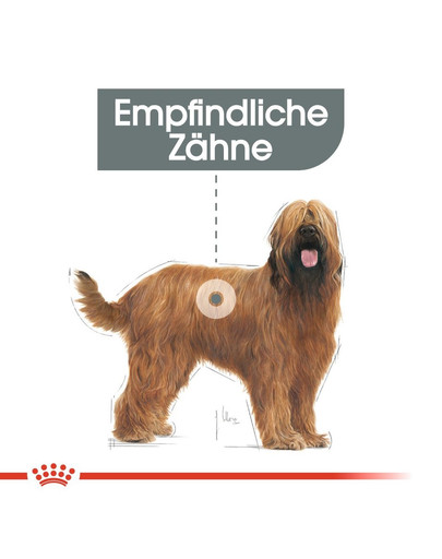 ROYAL CANIN DENTAL CARE MAXI Trockenfutter für große Hunde mit empfindlichen Zähnen 3 kg