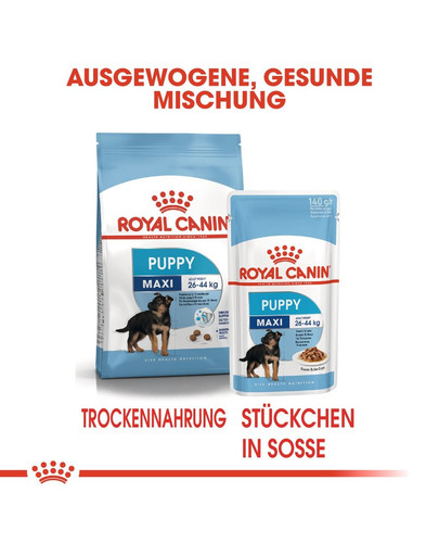 ROYAL CANIN MAXI PUPPY Welpenfutter nass für große Hunde 10 x 140 g