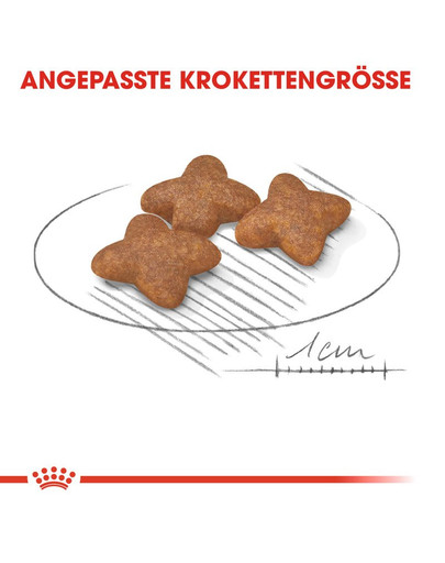 ROYAL CANIN Mini Adult Trockenfutter für kleine Hunde 8kg +1 kg