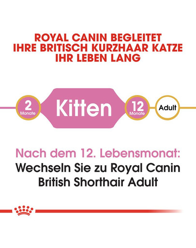 ROYAL CANIN British Shorthair Kittenfutter trocken für BKH Kätzchen 2 kg