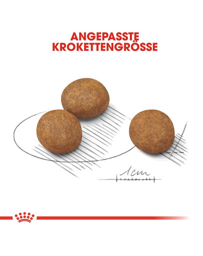 ROYAL CANIN MAXI Puppy Welpenfutter trocken für große Hunde 15 kg