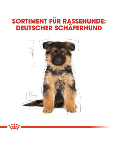 ROYAL CANIN German Shepherd Puppy Welpenfutter trocken für Deutsche Schäferhunde 12 kg
